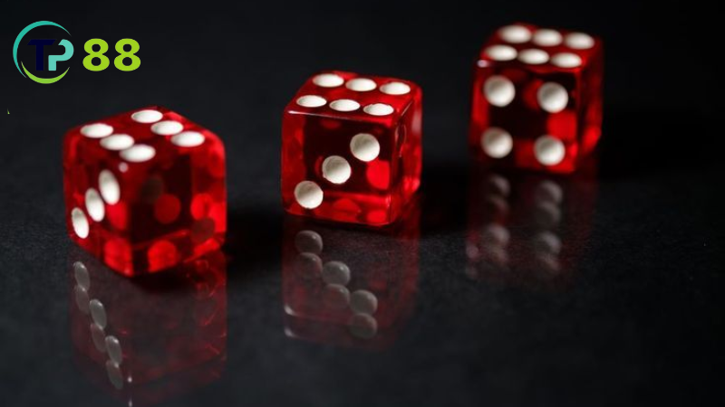 Tài Xỉu TP88: Cách Chơi, Mẹo Thắng Lớn Và Kinh Nghiệm Cá Cược 1 TP88: nhà cái uy tín, game đa dạng, thưởng lớn.