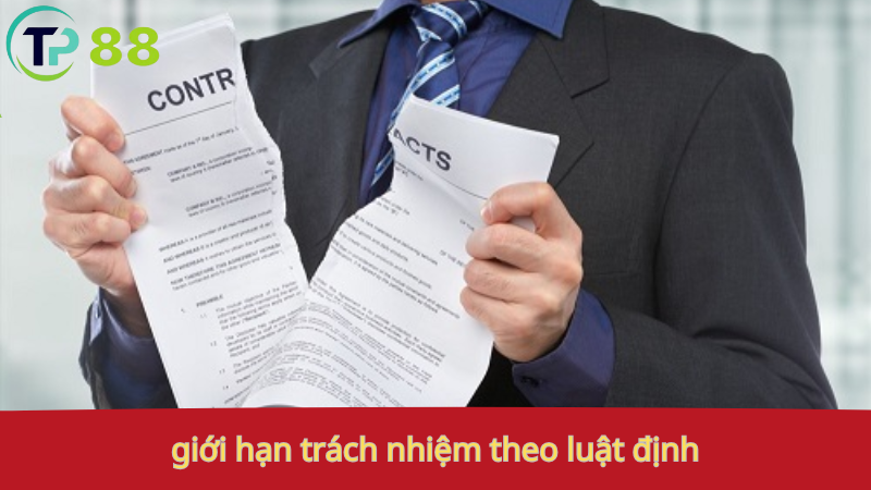 Miễn Trách Nhiệm 2 TyPhu88: giới hạn trách nhiệm theo luật định.