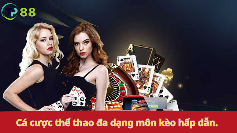 Cá cược thể thao: đa dạng môn, kèo hấp dẫn.