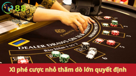 Đặt Cược Bài Xì Phé: cược nhỏ thăm dò, lớn quyết định.